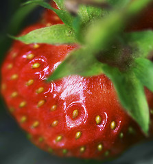 Image showing Detailed surface shot of a fresh strawberry