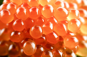 Image showing Red caviar background