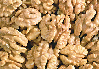 Image showing walnut kernel