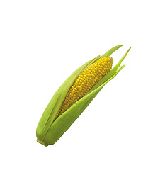 Image showing Sweet Corn, Maize On White Background