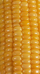 Image showing Background corn