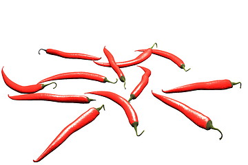 Image showing chili illustration