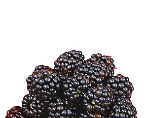 Image showing beautiful blackberries isolated on white