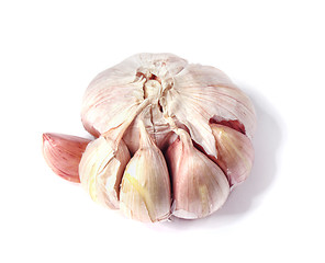Image showing Garlic isolated on white with soft shadow