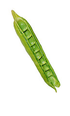 Image showing Pea Pod Isolated on a white background