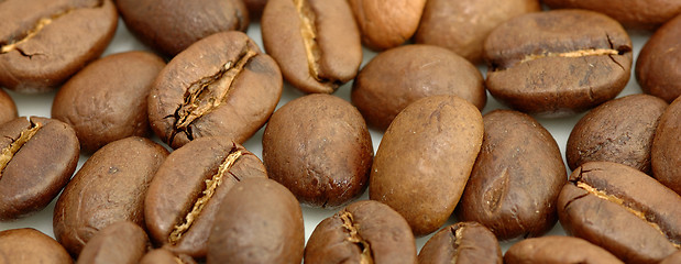 Image showing Coffe beans background