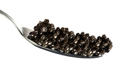 Image showing black caviar in spoon on white background