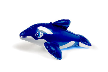 Image showing blue and white toy dolphin