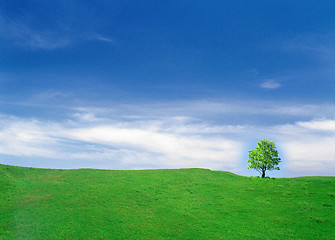 Image showing Beautiful summer landscape.