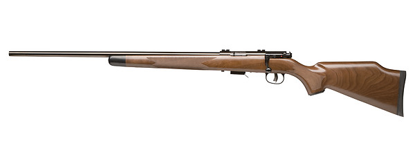 Image showing old hunting rifle