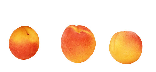 Image showing Ripe peaches on a white background