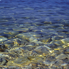 Image showing tropical sea