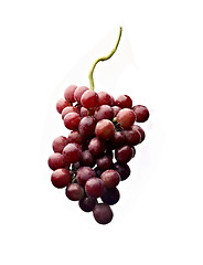 Image showing Red grapes isolated