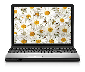 Image showing Silver Laptop Computer Showing Search For Flowers On Internet