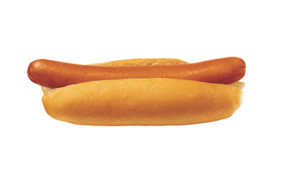 Image showing hot dog with mustard isolated