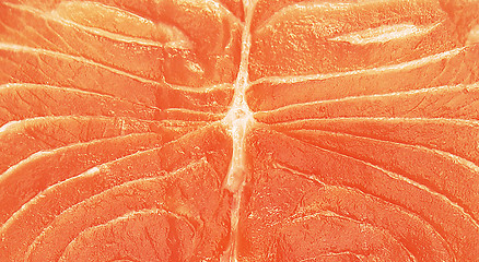 Image showing red raw salmon fish food