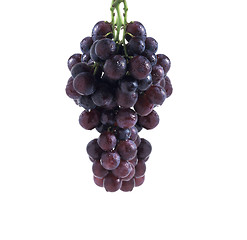 Image showing Fresh bunch of red wine on a white background