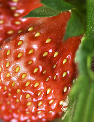 Image showing Detailed surface shot of a fresh strawberry