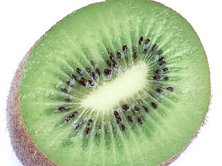 Image showing Kiwi isolated