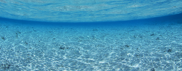 Image showing Underwater