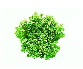 Image showing green leaves lettuce isolated on white background