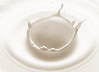 Image showing pouring milk splash isolated on white background