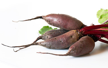 Image showing Beet