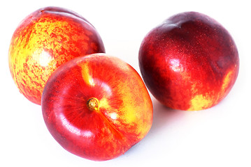 Image showing Nectarines