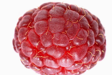 Image showing Red raspberry 