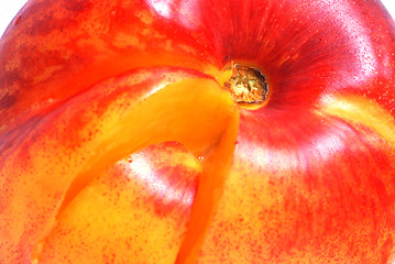 Image showing Nectarine
