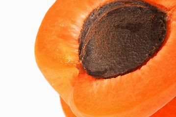 Image showing Apricot