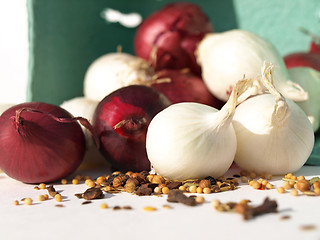 Image showing Upclose onions and spice
