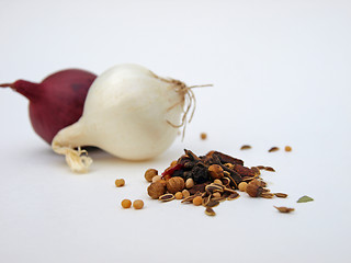 Image showing Spices with red and white onion