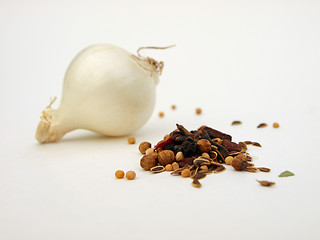 Image showing White onion with pickling spices