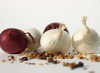 Image showing Onions with spices