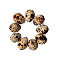 Image showing Quail eggs isolated on a white background