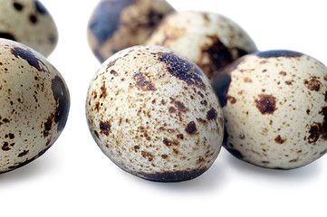 Image showing Quail eggs closeup isolated on white