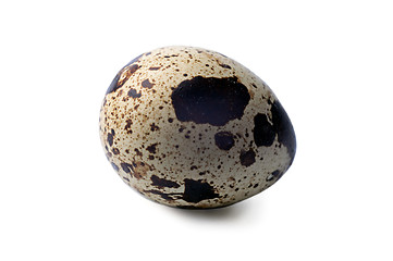 Image showing Quail eggs isolated on a white background