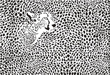 Image showing Pattern cheetahs background