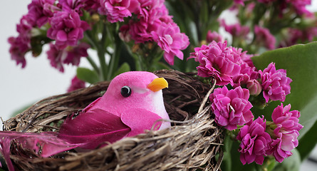 Image showing Pink bird 