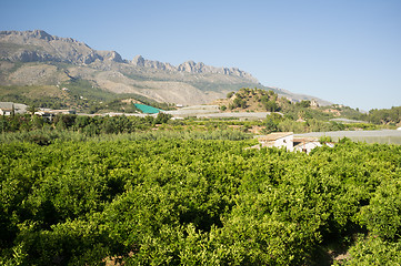 Image showing Costa Blanca rural landscape