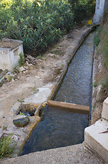 Image showing Irrigation ditch