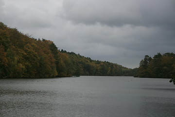 Image showing autumn forest