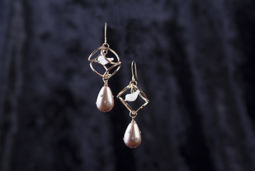 Image showing beige earrings with rings and dove