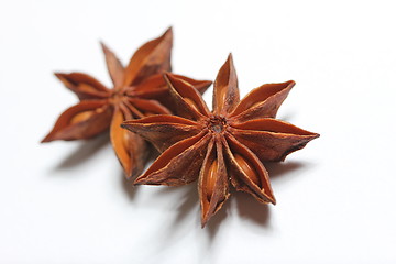 Image showing isolated star anise