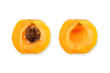 Image showing Apricot