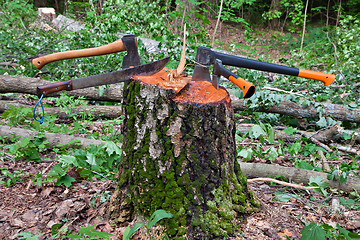 Image showing Several hatchets sticked in a tree stump