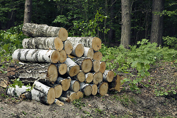 Image showing Wood stack 