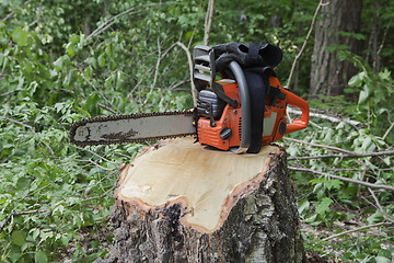 Image showing Chainsaw on a stump