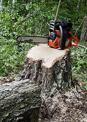 Image showing Chainsaw on a stump